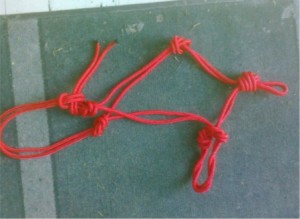 Hand Made Rope Halter