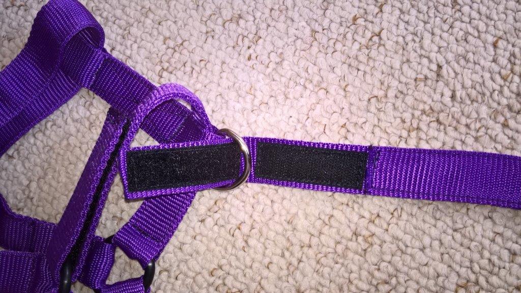20 mm for foal size head collars  "Westernway Tack"  safety catching strap 