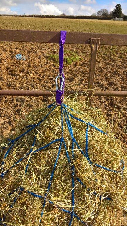 Purple stable or tack room tidy Horse box / lorry Westernway Hay net hanger 